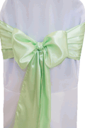Mint Green Sash